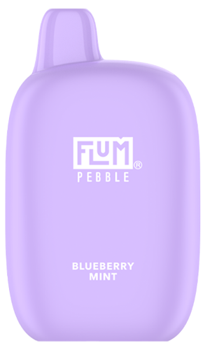Flum BlueBerry Mint