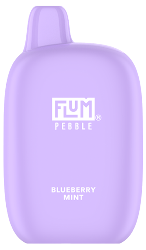 Flum BlueBerry Mint